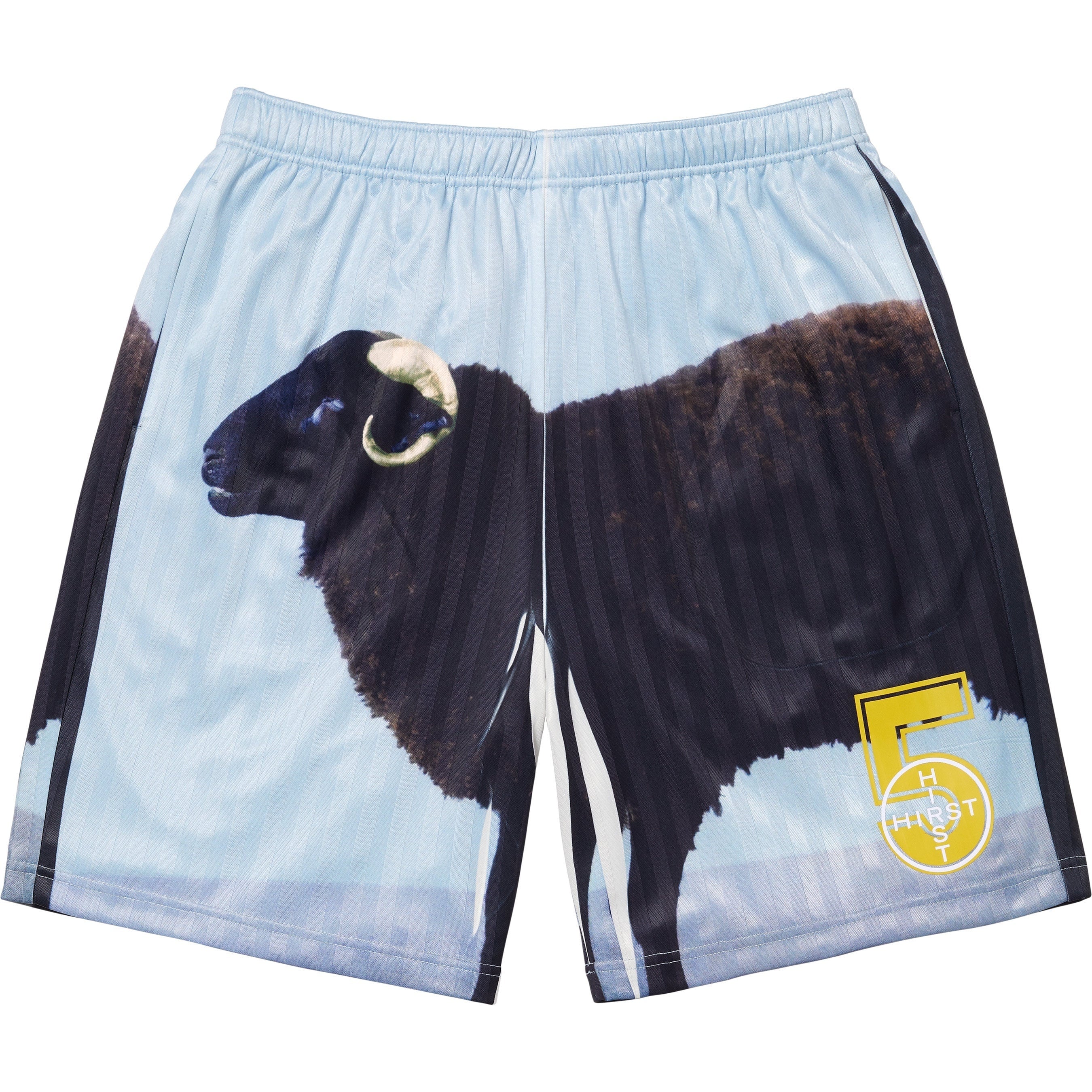 Supreme/Damien Hirst Soccer Short view 9